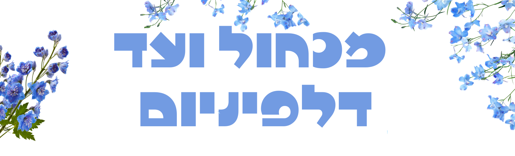 ניוזלטר אפריל- מלחמה (28) ניוזלטר אפריל- מלחמה (28)