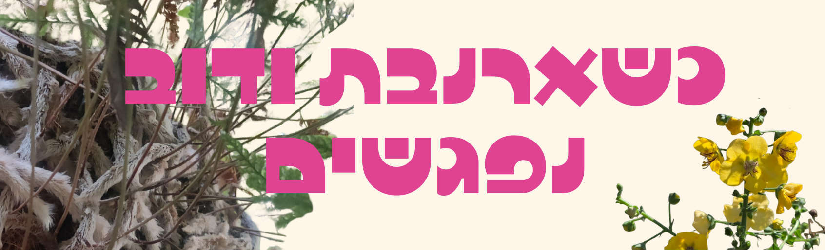 ניוז לטר אמצע אוגוסט