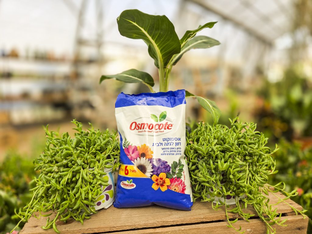 אוסמוקוט 12 חודשים 3 קילו