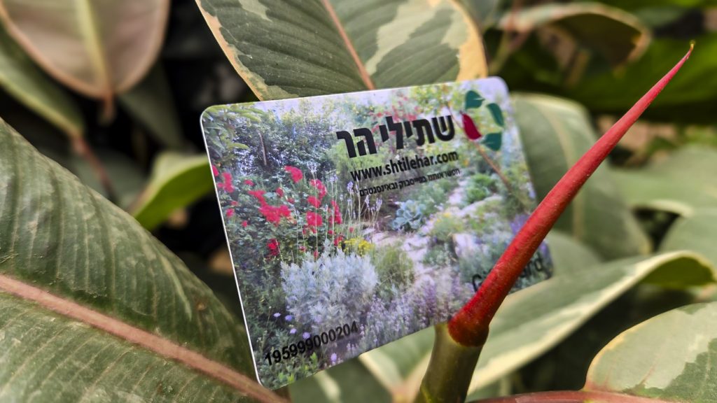 WhatsApp Image 2025-08-28 at 10.50.45_095cb95e-2