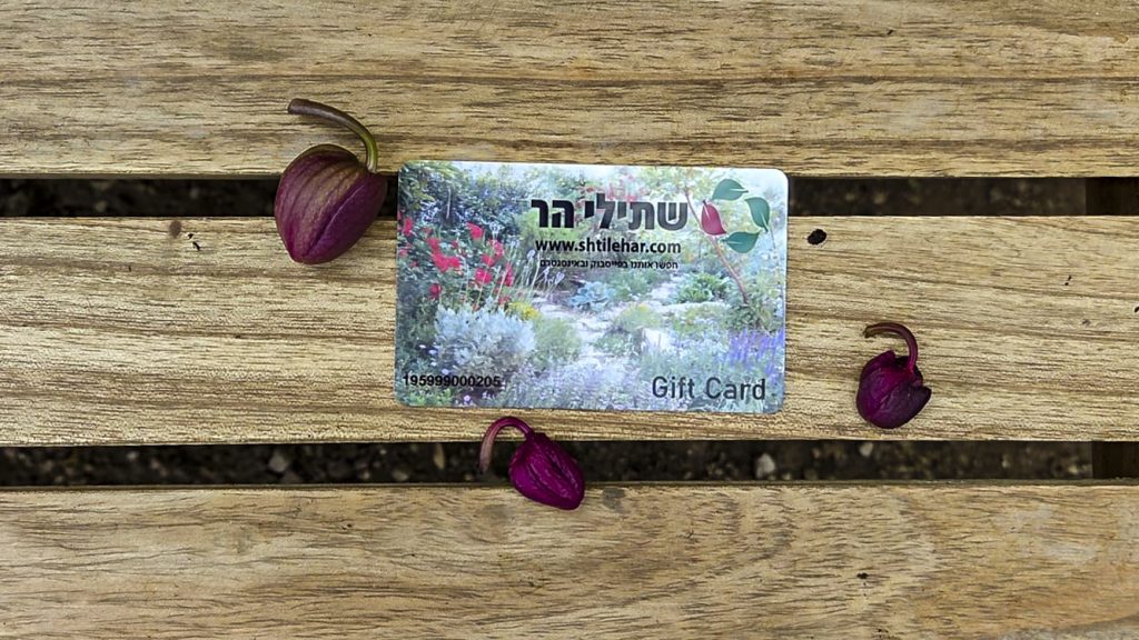 WhatsApp Image 2025-08-28 at 10.50.58_1456fc7c-2