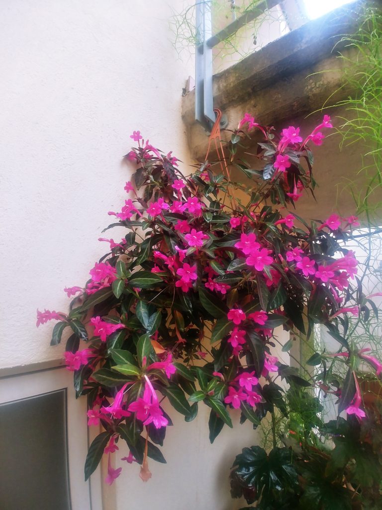 HB = 0,3,-5 FN=0 FB = 0 outdoor = 1 ISO = 50.000000 exp=20.000000 return = 0 FM0 CR0.51 FC741553204741684276741749812741815348741880884741356852741422388741487924741618996: bfalic 1211X