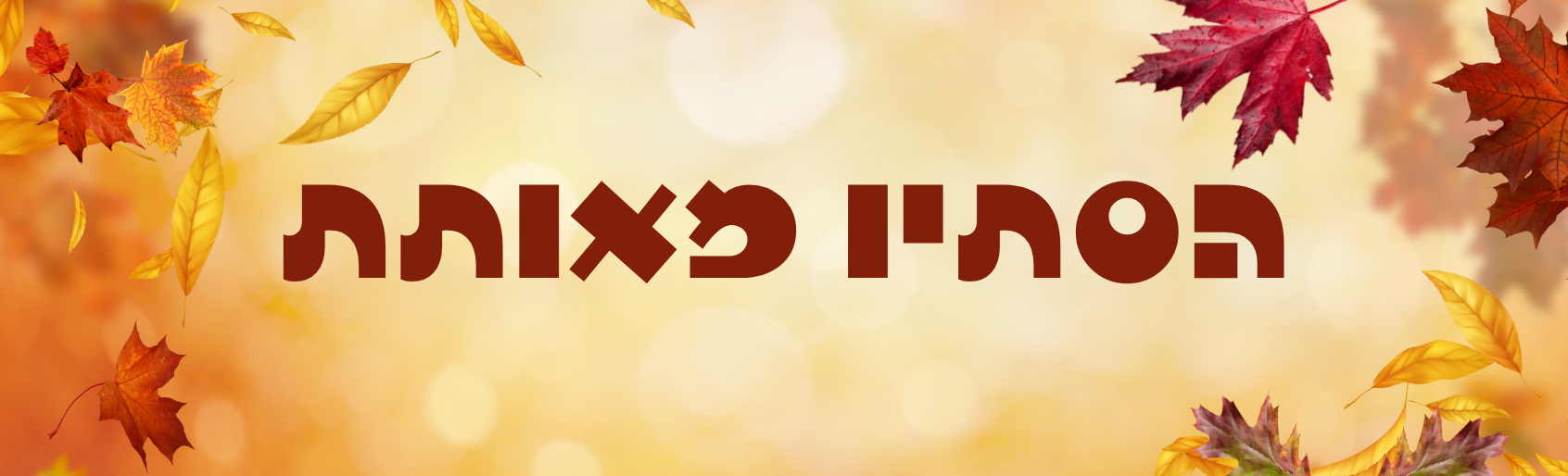_ניוזלטר סוף אוקטובר (13)