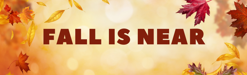 _ניוזלטר סוף אוקטובר (18)