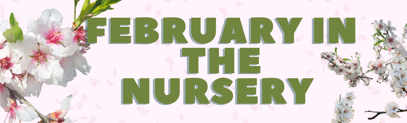 Copy of ניוזלטר ינואר 2026 (10)