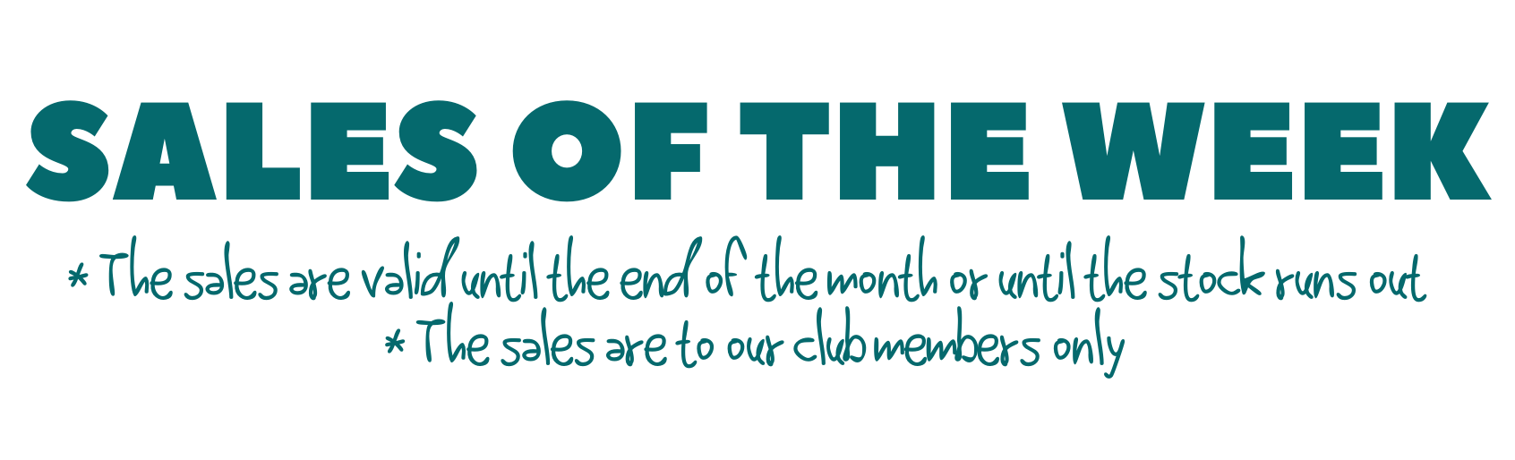 Copy of ניוזלטר ינואר 2026 (6)